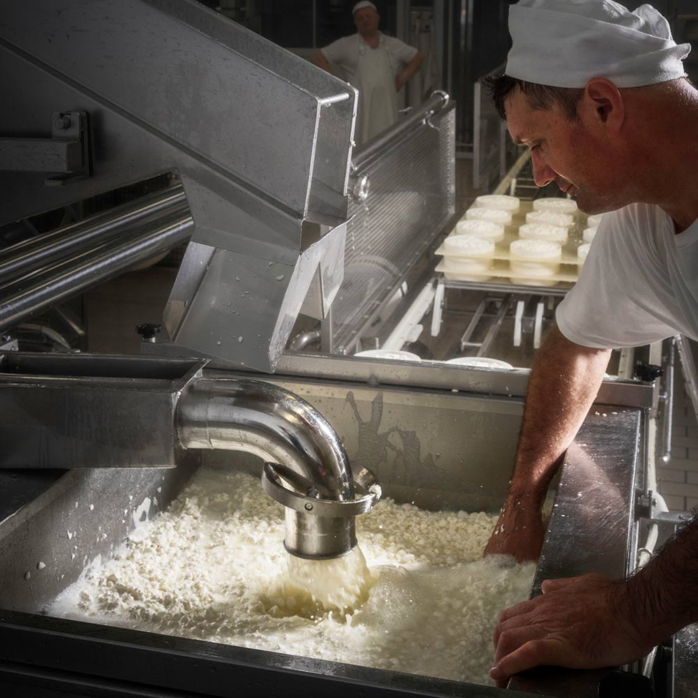 produzione-ossolano-dop_01