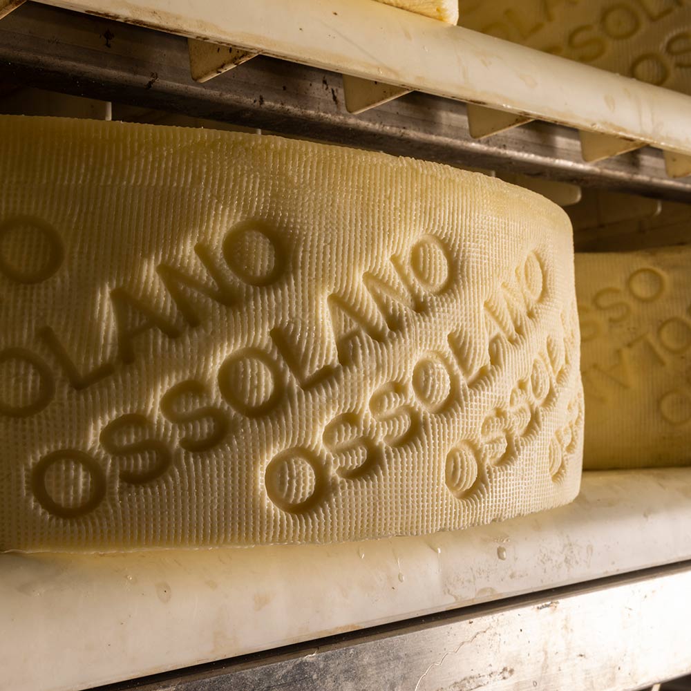 produzione-ossolano-dop_04
