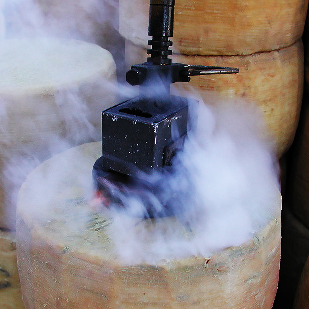 produzione-pecorino-dop_04