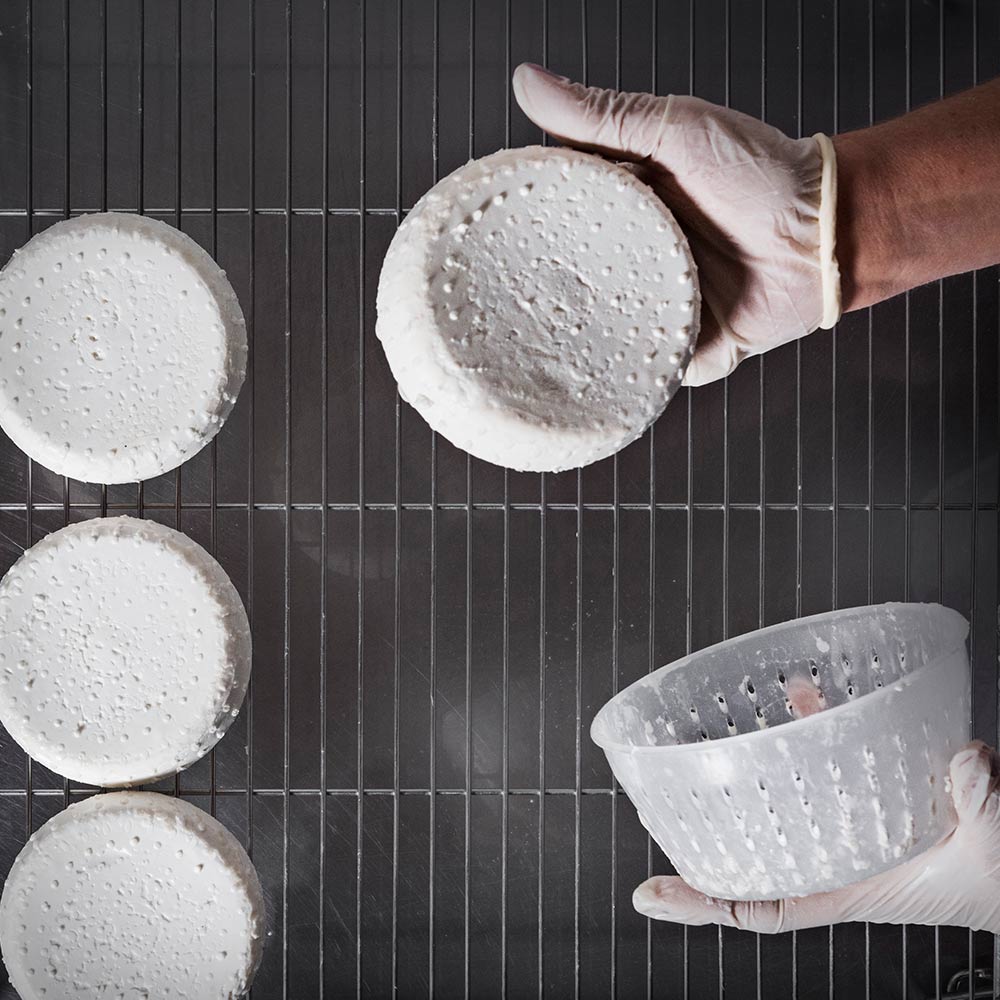 produzione-roccaverano-dop_05