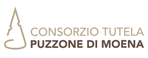 logo_puzzone
