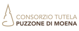 logo_puzzone